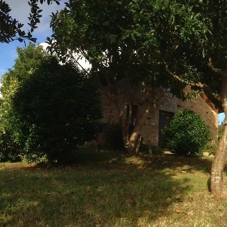 O Rincon De David * Cee