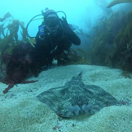 O Rincon De David Ferienhaus *