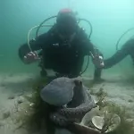 O Rincón De David *