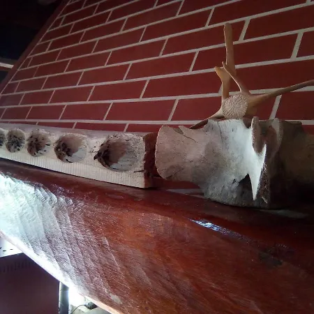 Casa vacanze O Rincon De David *