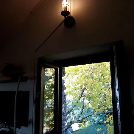 O Rincon De David * Cee