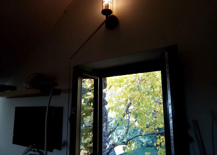 O Rincon De David * Сеэ