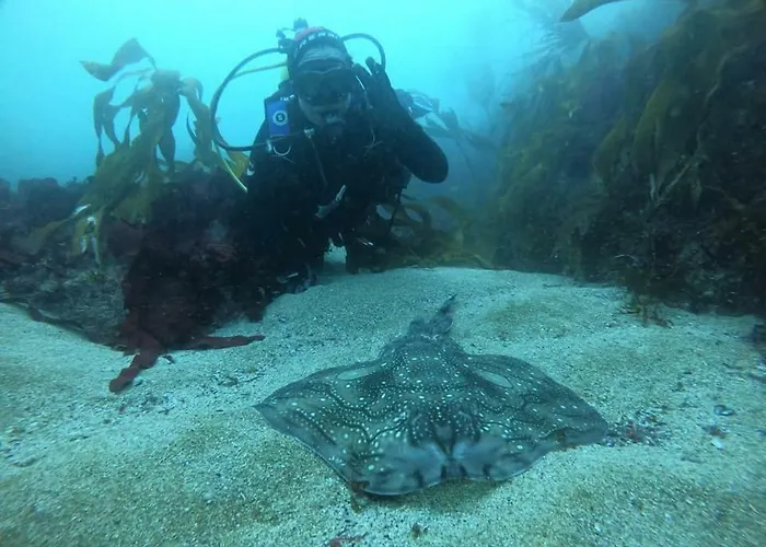 O Rincon De David Дом отдыха *